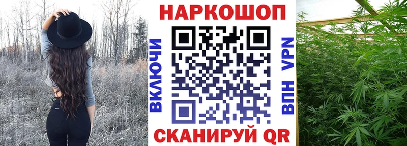 APVP Партизанск