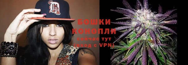 эйфоретик Медвежьегорск