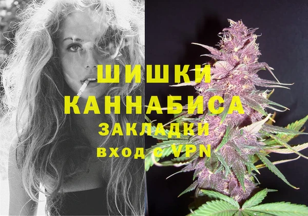 2c-b Мегион