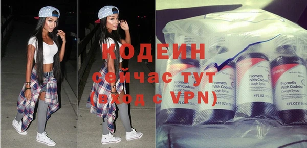 крисы Анжеро-Судженск