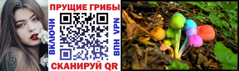 где купить   МЕГА ССЫЛКА  Галлюциногенные грибы Magic Shrooms  Партизанск 