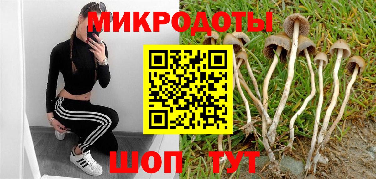 Псилоцибиновые грибы MAGIC MUSHROOMS  даркнет сайт  Вход с VPN  Партизанск  Псилоцибиновые грибы прущие грибы 