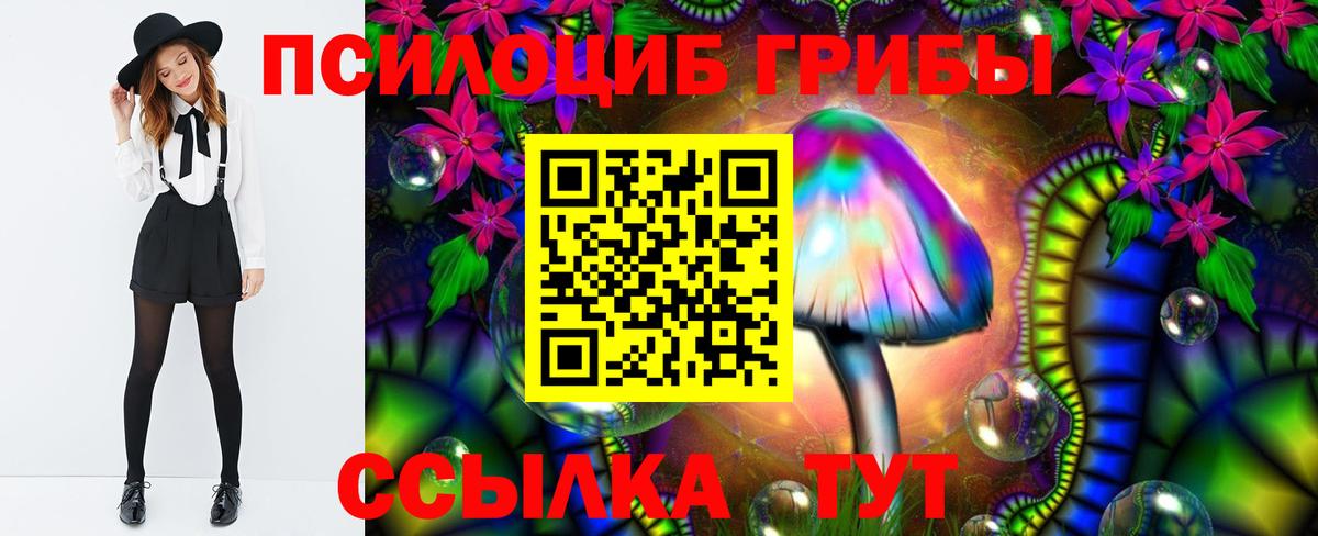 Псилоцибиновые грибы Cubensis Партизанск